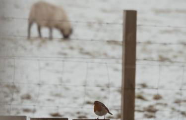 Jacobite Lodge by The House of Danu - Foto 34