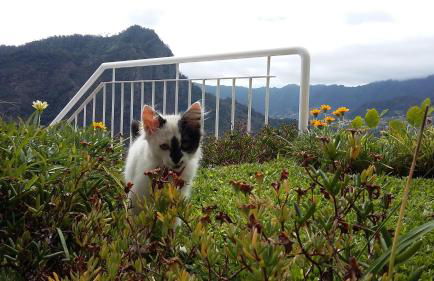 Casa Shalom - Foto 29