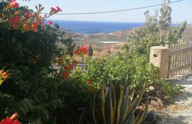 Arodamos Residence Mariou - Photo 28