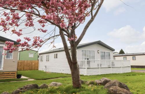 Rosella 38 - Photo 24