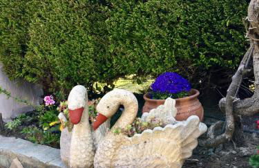 Georgia's House Sykia - Foto 18