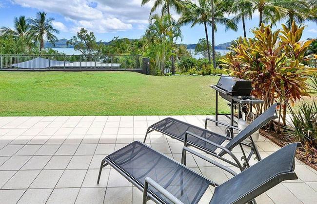 Hibiscus 006 - Foto 14