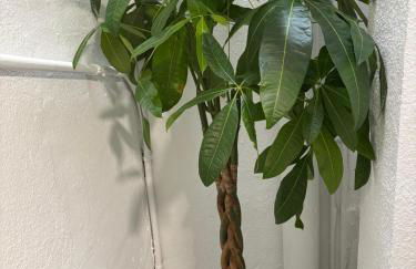 La Sardineta, es un apartamento en la Costa Brava, Palamós 1 minuto de la playa Alquiler temporal mínimo 32 noches - Foto 10