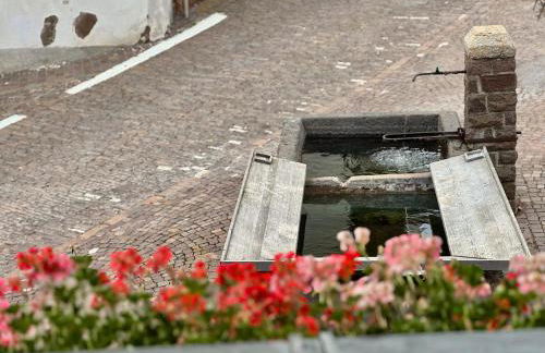 L'Antico Fienile - Val di Fiemme - Foto 3