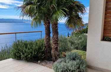 5 stars 2 bedrooms villa BLUE DREAM village Pisak Croatia - Foto 30