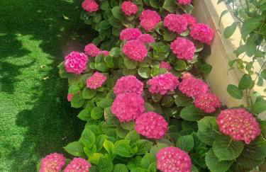 Casa adosada con vistas al mar y con piscina - Photo 24