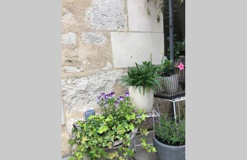 La petite Brainoise - Gîte avec salle jacuzzi 120 jets - Foto 32