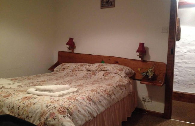 Relaxing Holiday in Millpond Cottage - Cwmiar - Photo 2