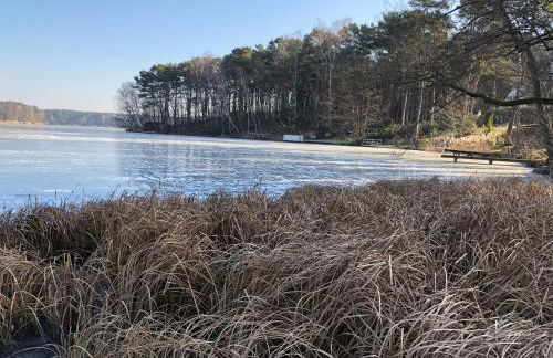 Villa Seeidyll - Foto 74