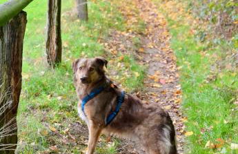 FeWo im Vest - Foto 32