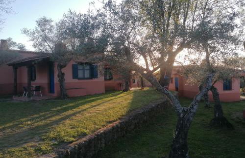 Aldea Vetonia Alojamientos con Encanto Parque de Mascotas-NO SE ACEPTAN EN JULIO Y AGOSTO- Varias zonas infantiles y deportivas "encuentranos y reserva para verano" - Foto 111