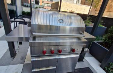 Premier Penthouses and Apartment with Captivating Views of Millennium Park - Photo 70