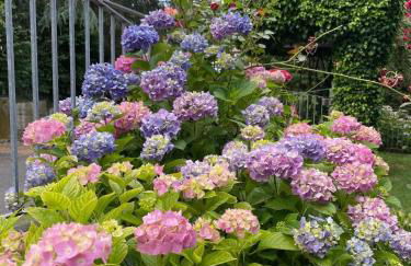 Villa Ferrari - Photo 3