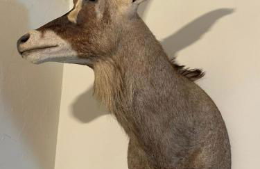 Charming Unique Themed Victorian Elegance - Foto 10