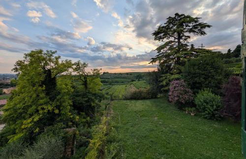 Villa Cristani - Foto 75