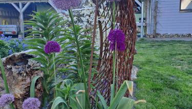 Gartenhaus in ruhiger und geschützter Südlage - Foto 2, Garden