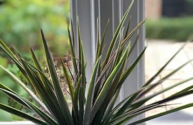 Slade Farmhouse - Foto 13