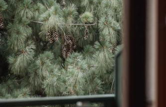 Der Mittermoar - Photo 36