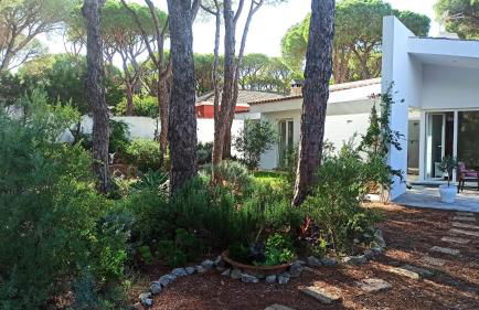 Diseño y luz entre los pinos - Foto 60