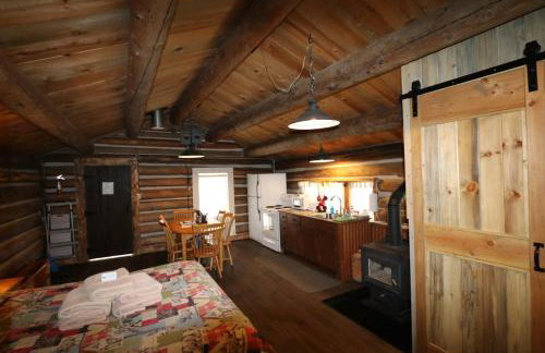 The Cabins at Historic Columbine - Foto 9