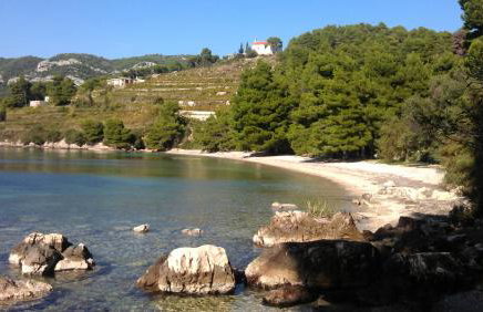 Apartmani Maslina Žuljana - Foto 61