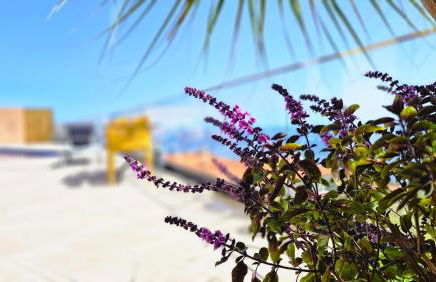 Eden Sun - A Modern Luxury Villa with a Panoramic View - Foto 39