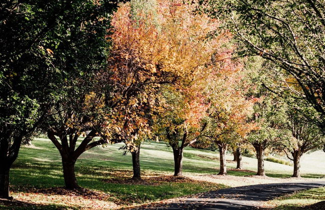 The Drawing Rooms of Berry - Foto 76