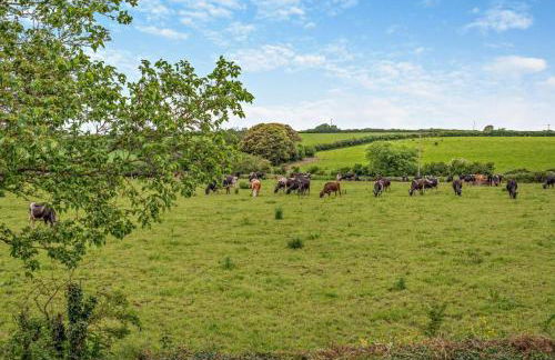 2 Bed in St. Minver oc-r29475 - Foto 9