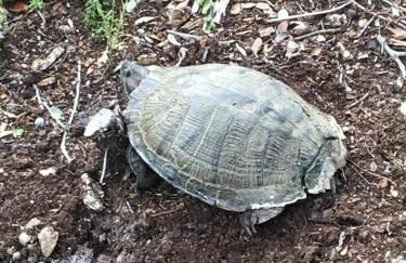 Fishers Of Men Ranch Home - Photo 32