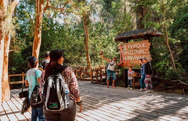 Victoria Island & Myrtle Forest Day Trip - Foto 7