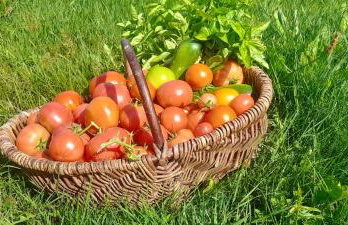 Ostoja Kamionki - Foto 16