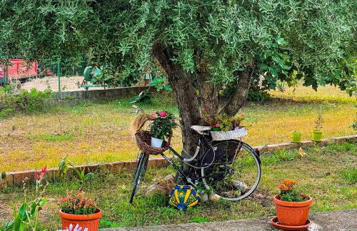 Casa Primula - Family Country House immersa nel verde a 5 min dal Mare - Foto 22