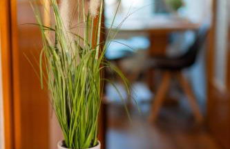 Ferienwohnung Cordula - Foto 14