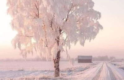 Casas Natura Suites - Finca Rural - Foto 58