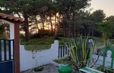 Lemos family beach house - Foto 40