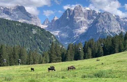 Des Alpes C Flat 11 - Foto 47