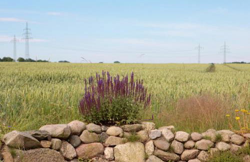 Dat tiny Hus - Foto 22