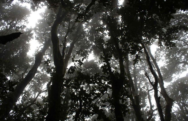 Fray Jorge National Park Trip - Photo 6