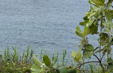 Alma do Mar - Soul of the Sea - Foto 17