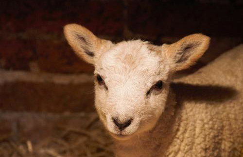 The Round House - Foto 37