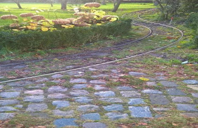 Pet-friendly Getaway - Photo 26