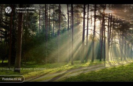 Agroturystyka u Basi śniadanie wliczone w cenie - Foto 37