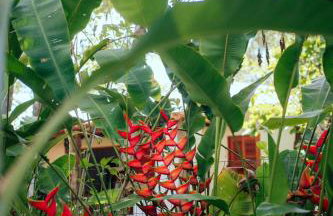 Boutique Beach Chalet, Luzimares, Serra Grande-BA - Foto 32