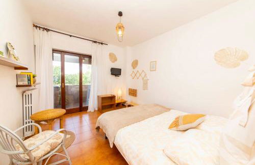 Rosellina Gialla Assisi Oasi di pace in collina - Foto 10