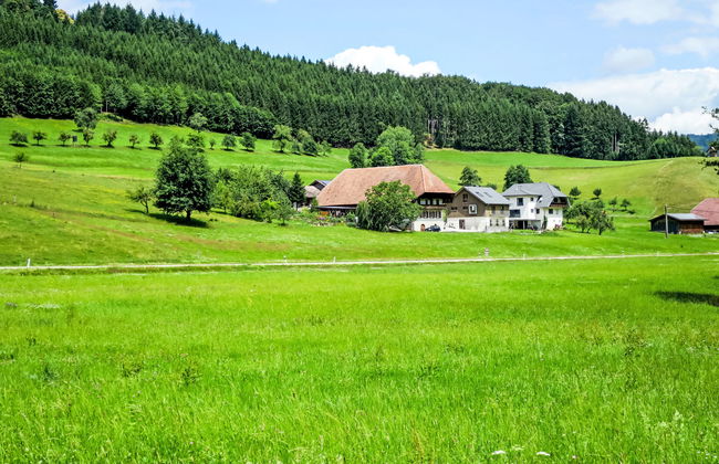 Kinast (HFT202) - Foto 74