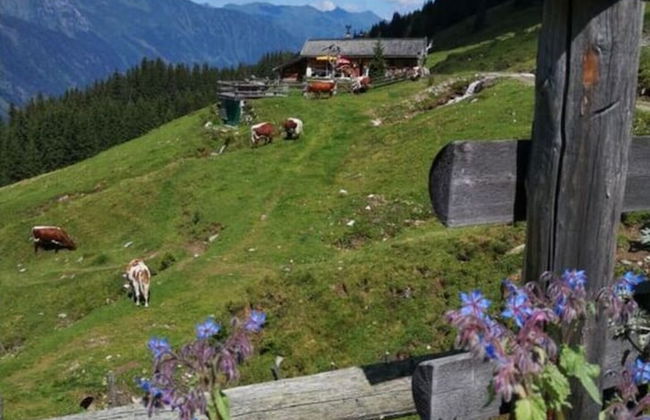 Apartment Bar Comfortable Holiday Residence - Photo 30