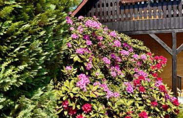 Lütt Heidjer Hus - Foto 14