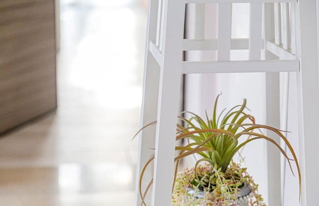 La Corte dei Mari - Foto 39