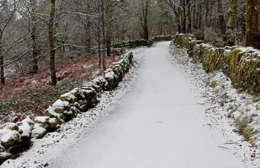 Casaesquerda Cinza - Foto 30