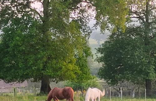 Gite de charme à Guipry Messac - Foto 28